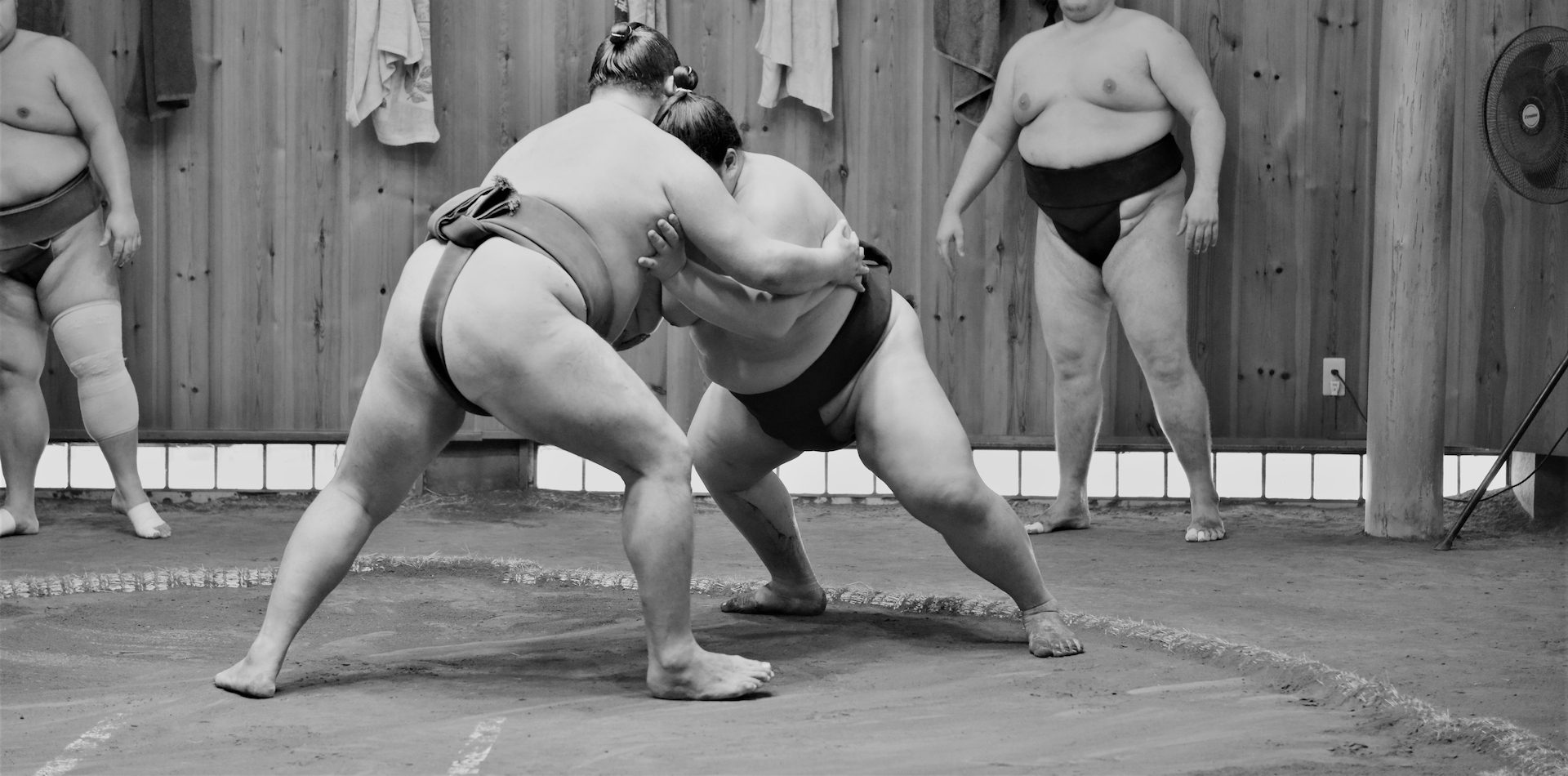 Sumo Fighters