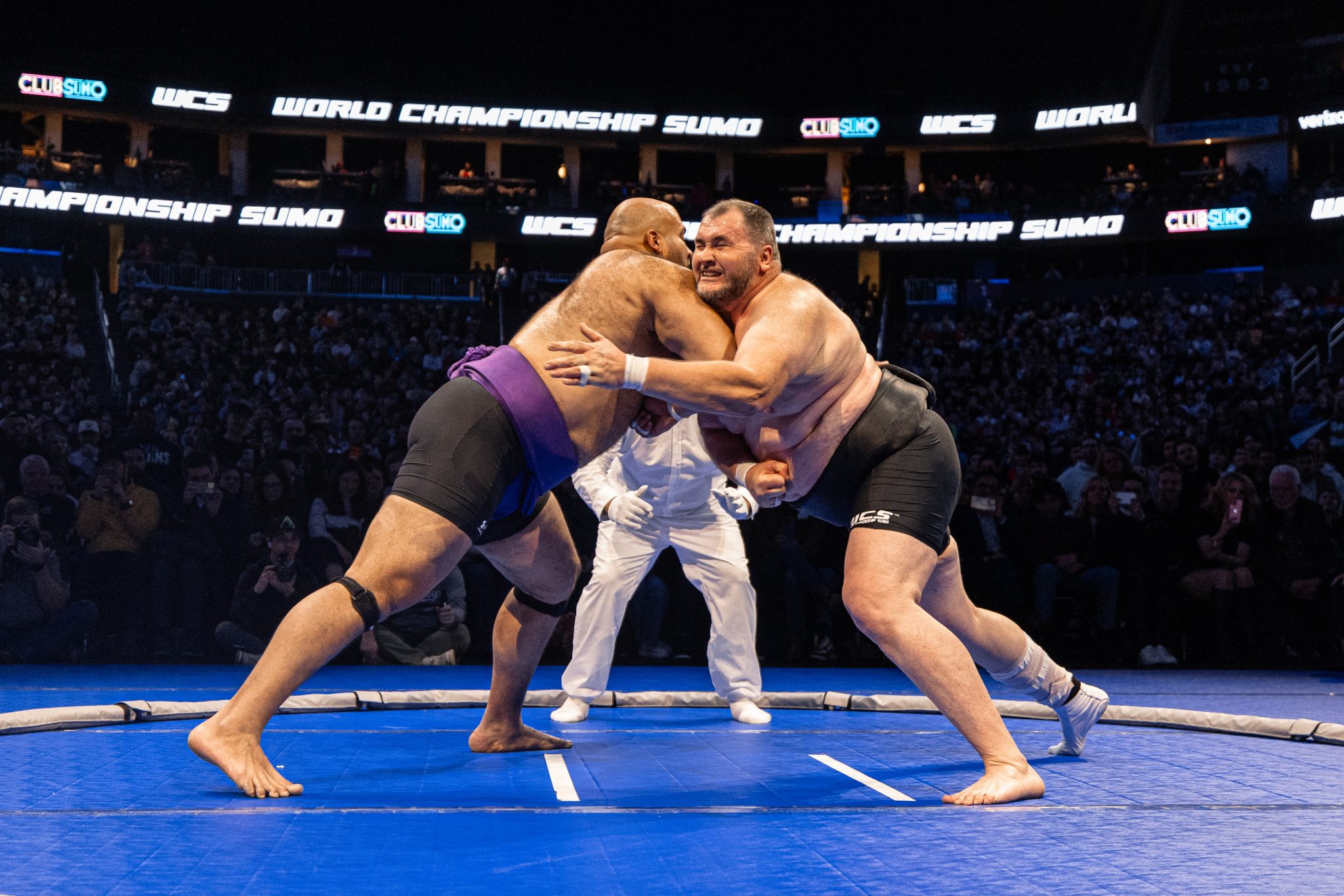 World's Largest League of Sumo Wrestlers | International Sumo League